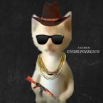 solo amigos uwu , :v