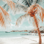 Beach Maui
