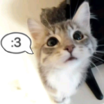 CATZ RUL3