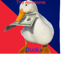 The Awesome Ducks
