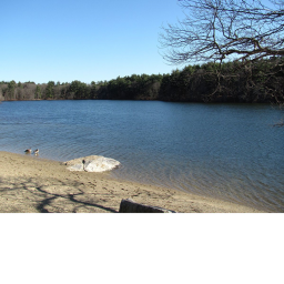 pond