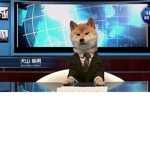 Wastelander's Retirement