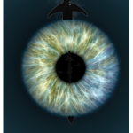 HOLLOW RAIDS