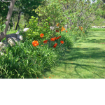 Spring into action