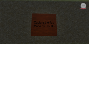capture the flag