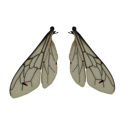 Tucked Bee Wings DX BLACK