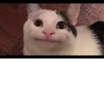 whaty