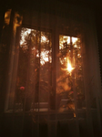 summerzzz