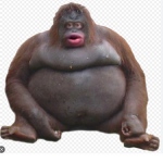 Im a bananannanananana