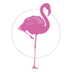 Flamingo Studios <3
