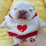GloryMail Central