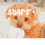 -###### sᴛᴀʀs-