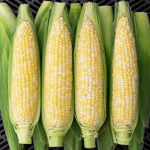 #It’sCorn!