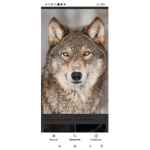 Le grp des Loups-garous