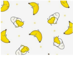 【BaNaNa SqUaD】