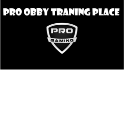 OBBY RANK TRANING