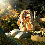 sxnflower field