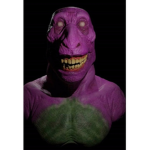 The Barney Appreciation Club