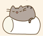 Da Pusheen Squad!