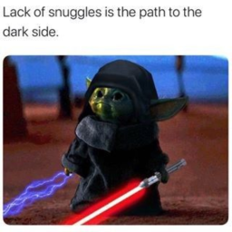 baby yoda town