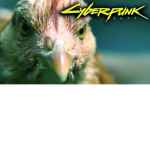 "The killer chickens"