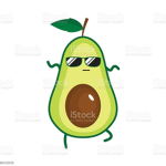 thE cool avocados'