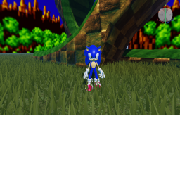 sonic meeting or have fun