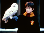 Harry Potter and Hedwig's fan Club