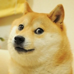 Doge Nation and army