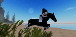 I_Hearthorses
