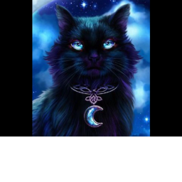Shadow cat Studios hangout!!