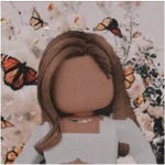 Siimply_butterflies fan group