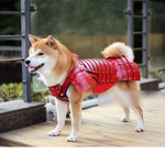 Innovation dog inc.