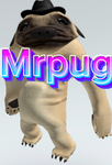 Mrpugs group