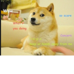 DOGE_care