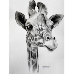Giraffe partiers all around the world