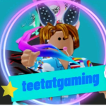 Teerat Gamer Chanel