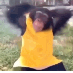 Monke Unitec