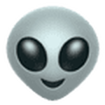 2025 A51 STARS