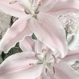 ˚♡˚