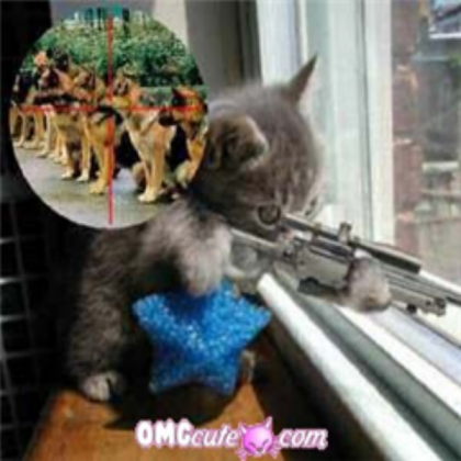 kitty sniper good bye mr. presidant dog Roblox decal