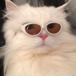 BERTYU