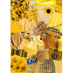 🌻My