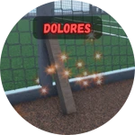 Dolores