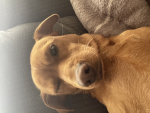 David_775775