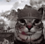 Propaganda with The Trench Warriors