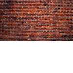brick bro bro