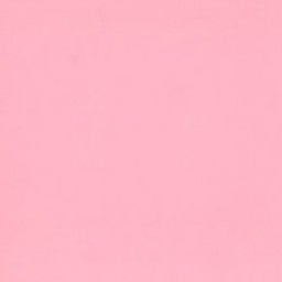 EMILYS PINK OBBY!