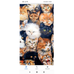 Kitty run Kingdom