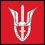 [MYS] 10 Paratrooper Brigade
